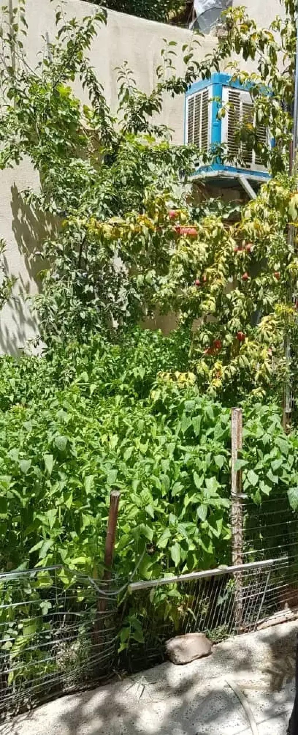 فروش زمین و کلنگی 120 متری در نعمت‌آباد - تصویر 8