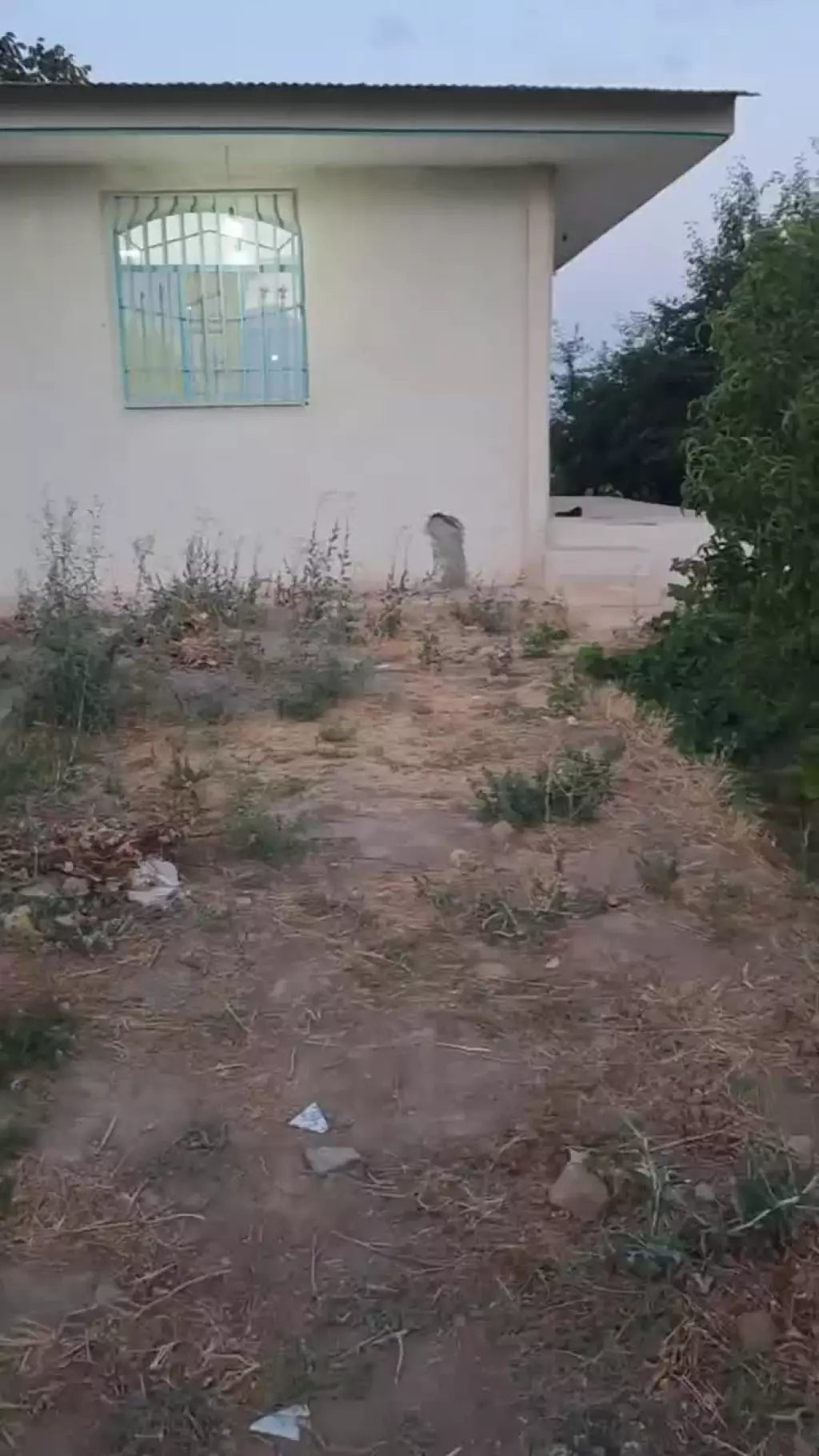 فروش اداری و تجاری 5000 متری در اسکندری