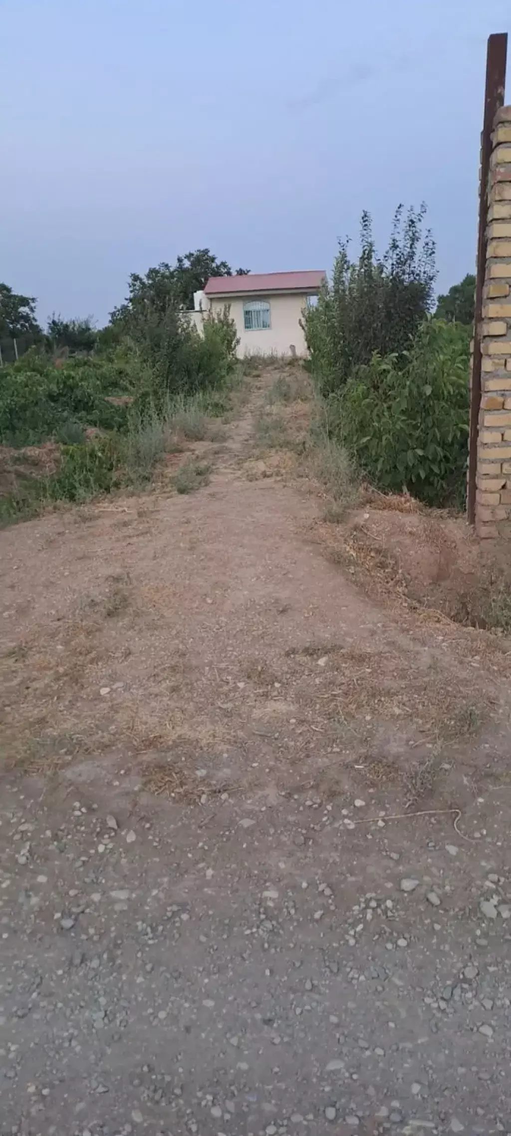 فروش اداری و تجاری 5000 متری در اسکندری - تصویر 4