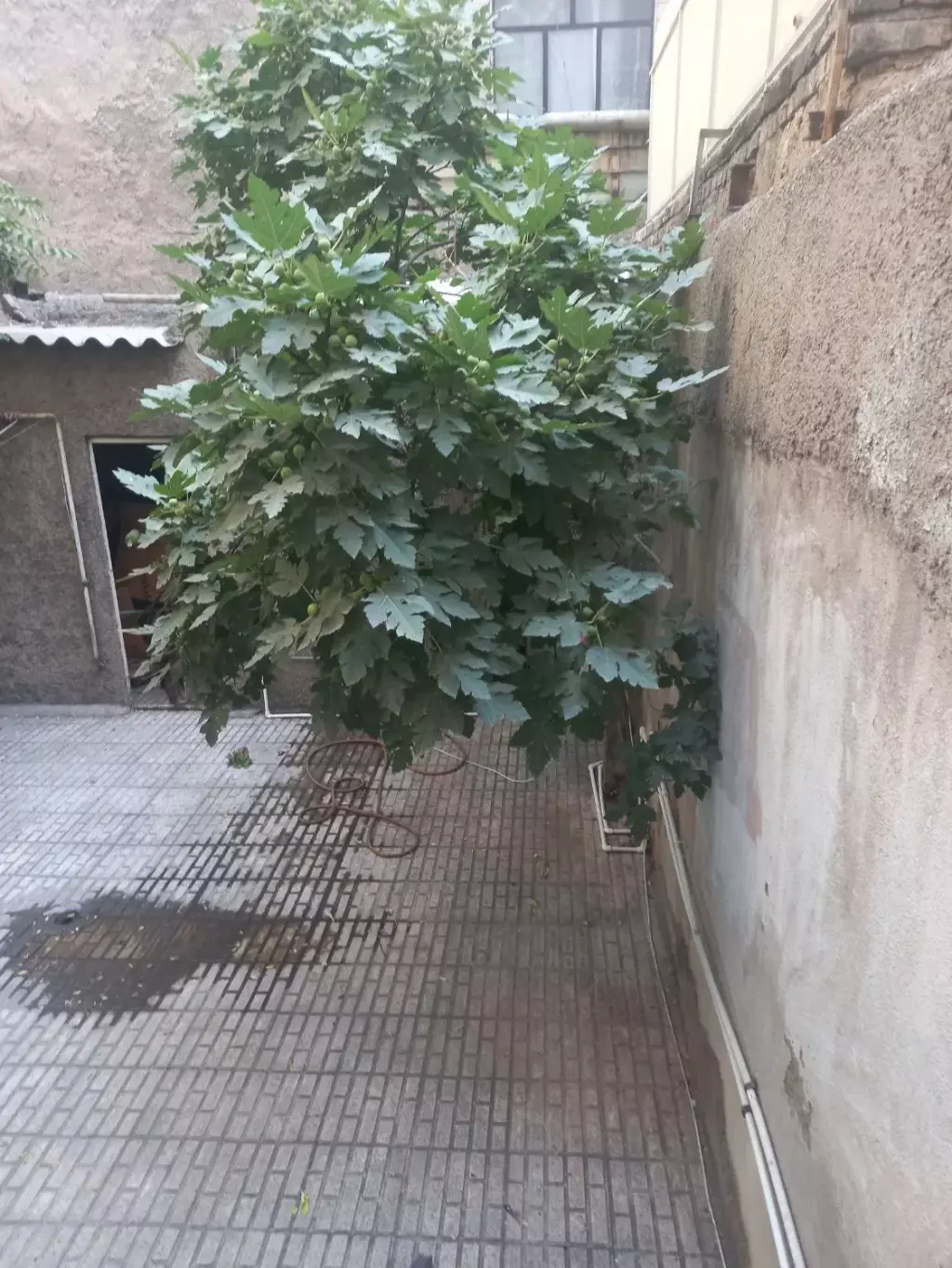 اجاره آپارتمان 58 متری در فدک - تصویر 9