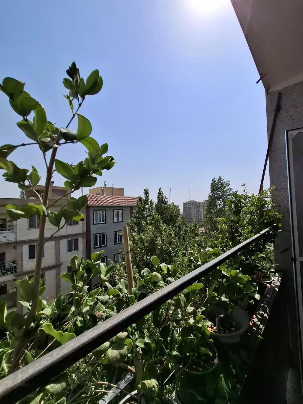 اجاره آپارتمان 82 متری در جنت‌آباد شمالی - تصویر 9