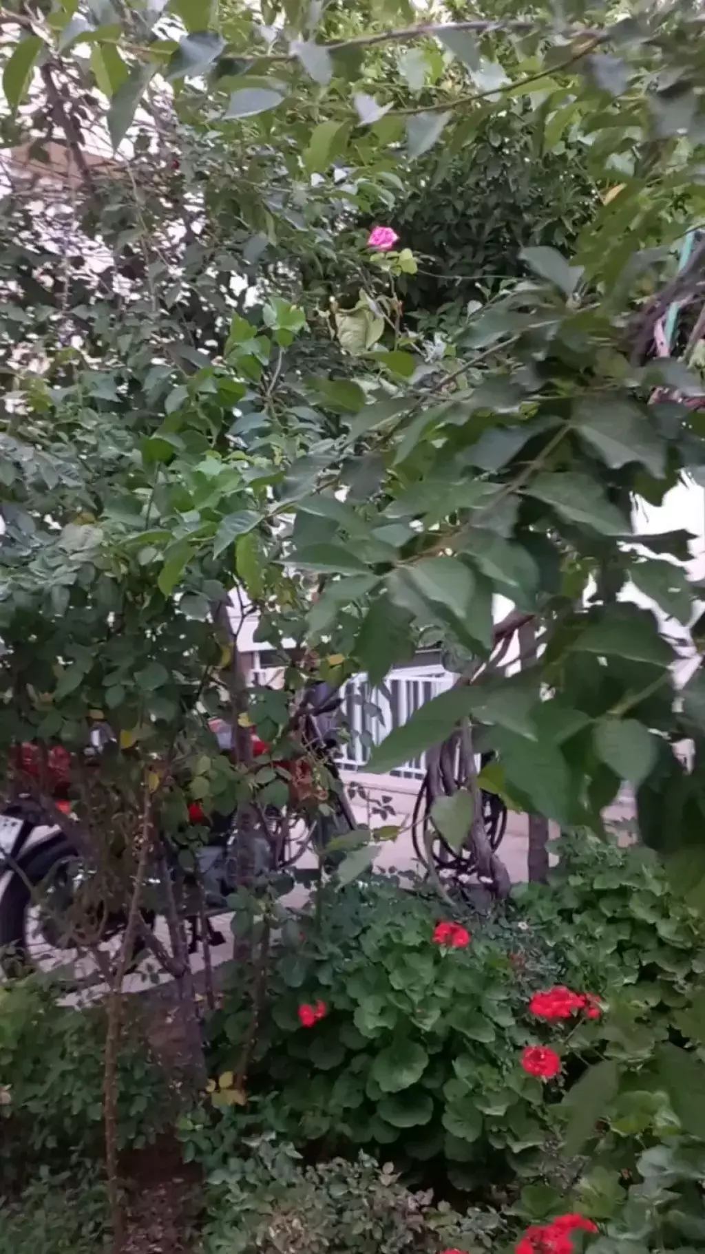 اجاره آپارتمان 130 متری در حکیمیه - تصویر 9