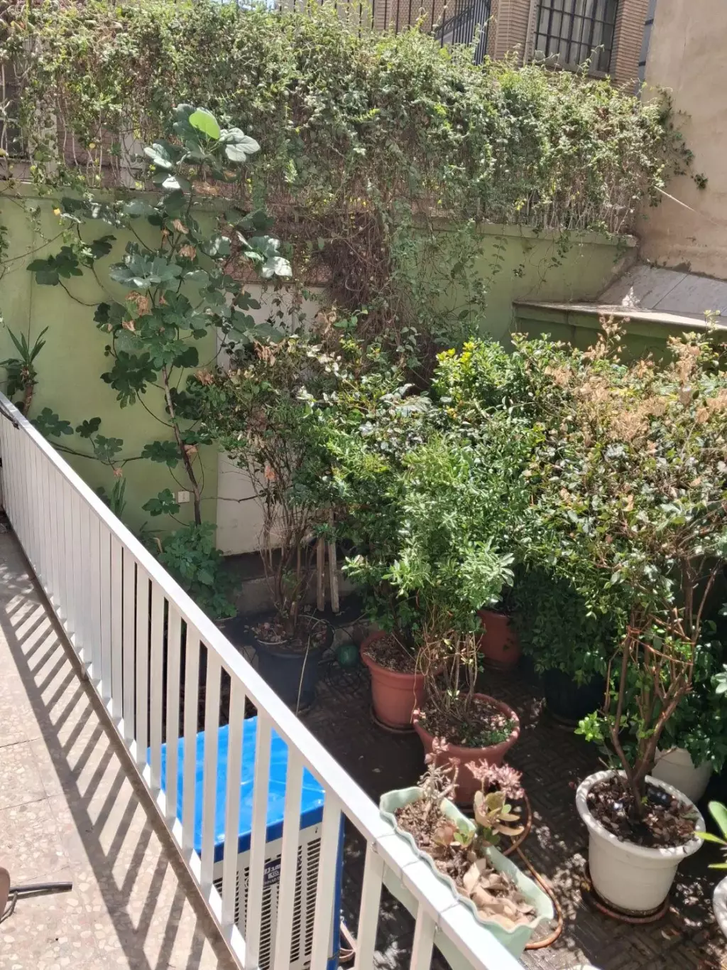 اجاره آپارتمان 55 متری در ارامنه - تصویر 2