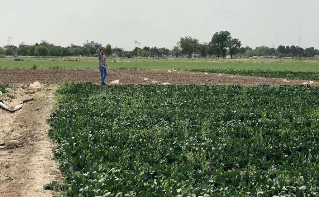 فروش زمین و کلنگی 15000 متری در سیزده آبان
