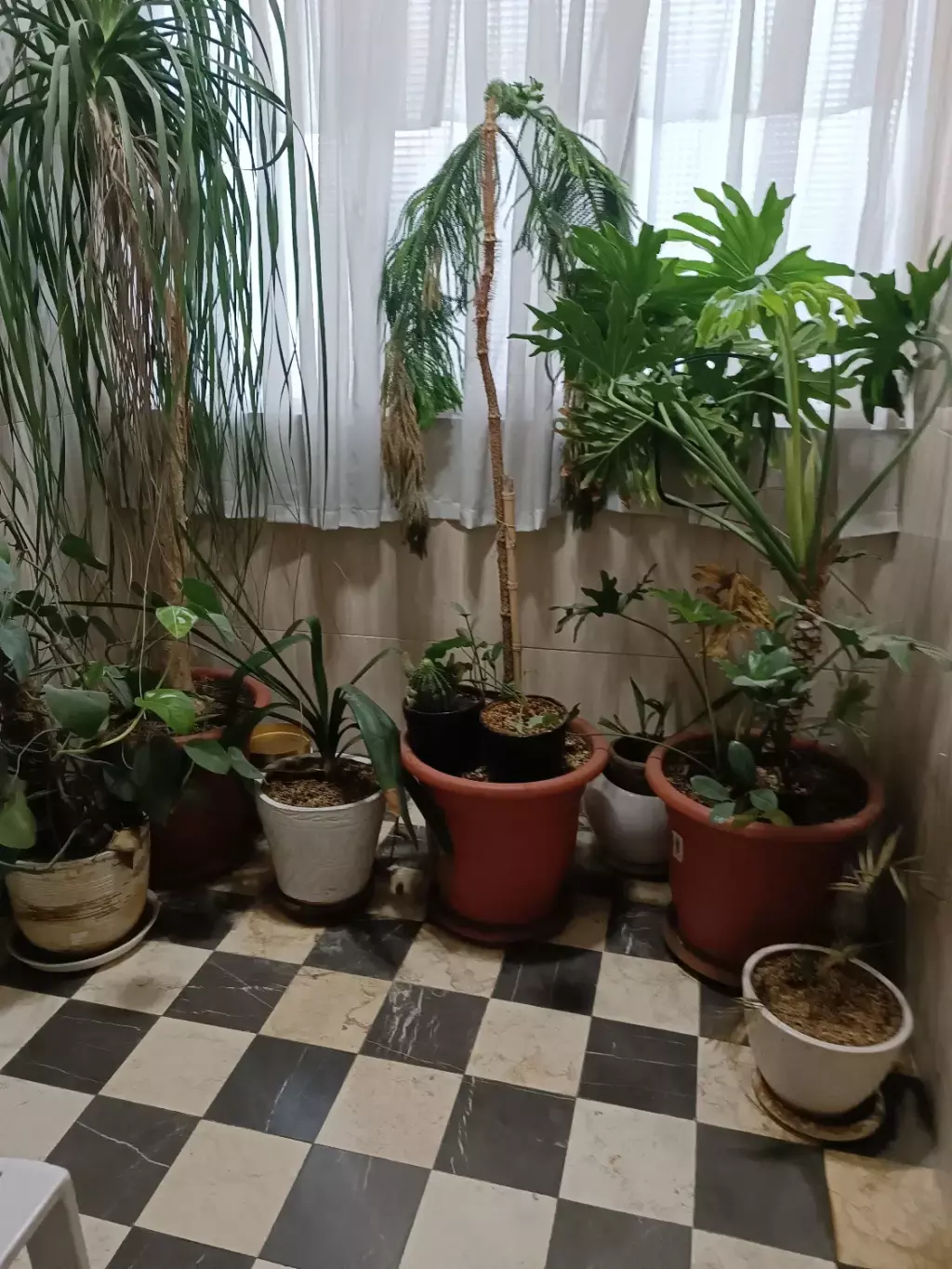 اجاره آپارتمان 100 متری در نارمک - تصویر 4