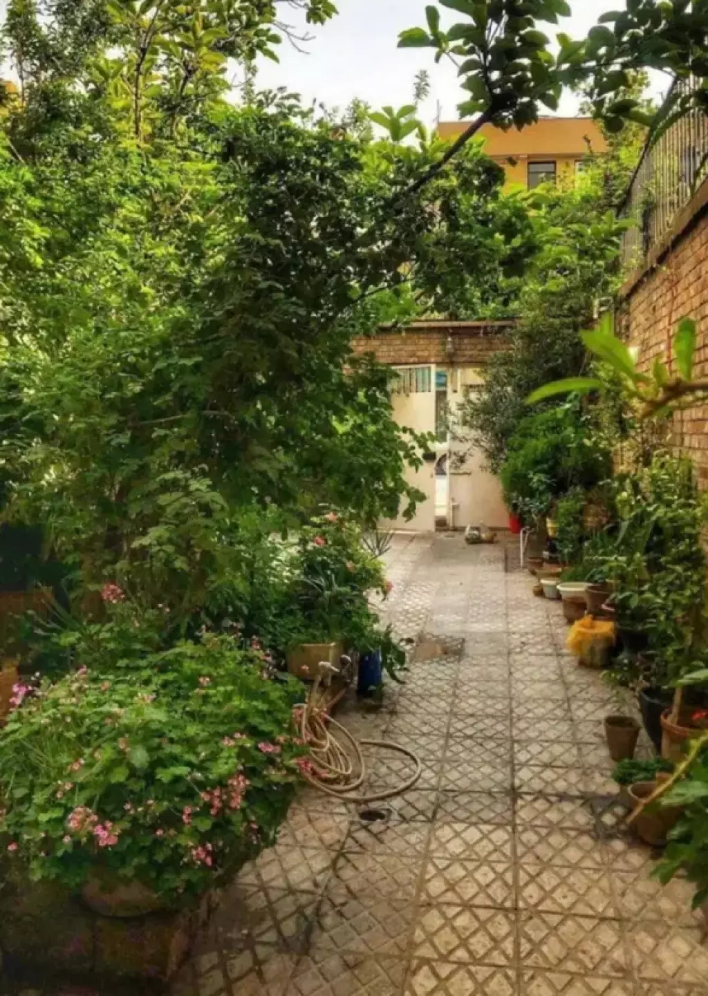 فروش زمین و کلنگی 1500 متری در نیاوران