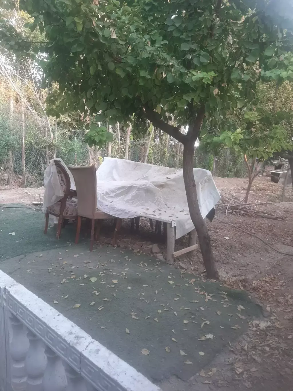 فروش زمین و کلنگی 430 متری در امین آباد - تصویر 6