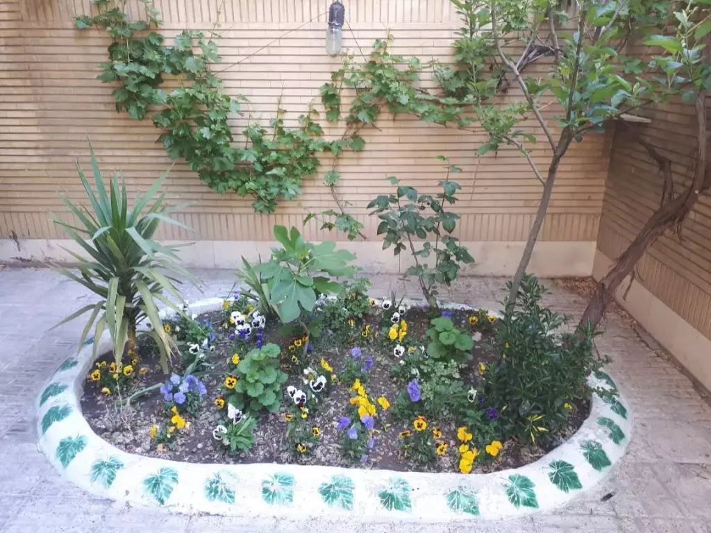 اجاره آپارتمان 41 متری در شاهین