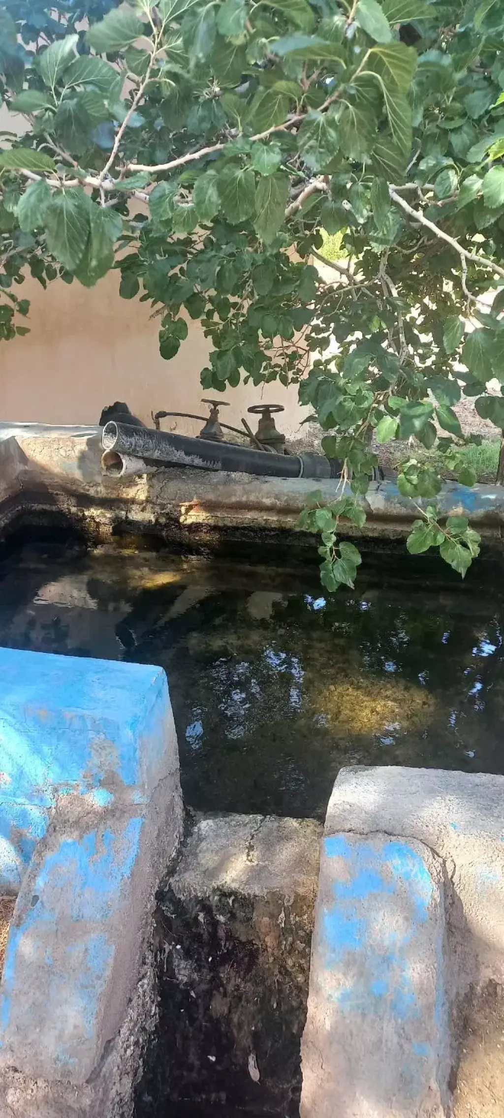 فروش اداری و تجاری 800000 متری در بازار - تصویر 4