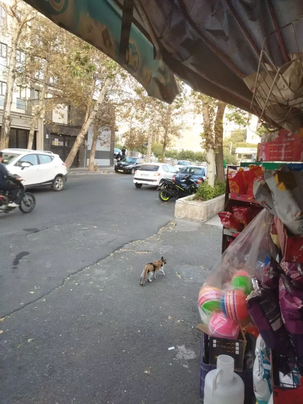 اجاره اداری و تجاری 30 متری در حسین‌آباد