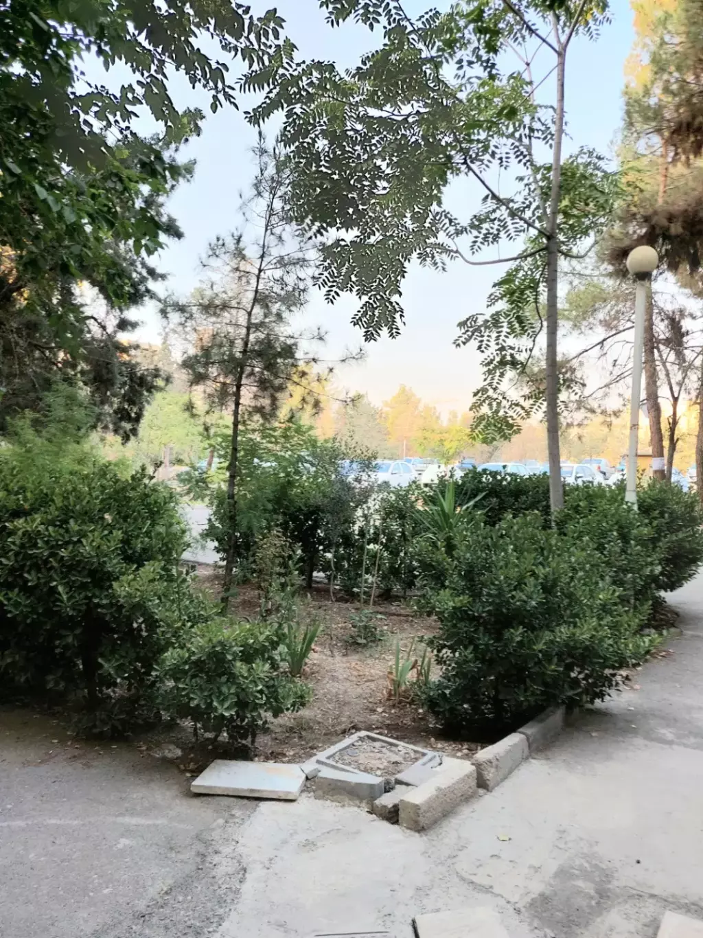 فروش آپارتمان 90 متری در شهرک دانشگاه - تصویر 15