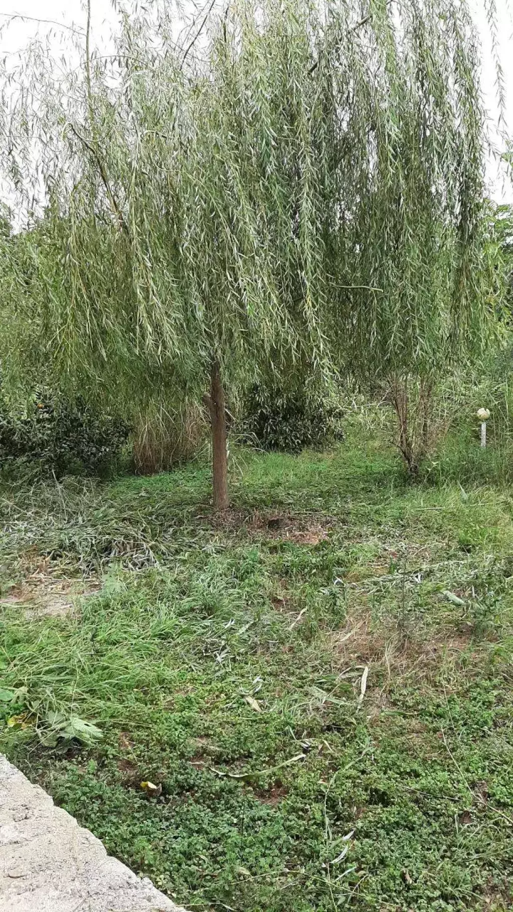 فروش خانه و ویلا 700 متری در گلستان (شهرک راه آهن) - تصویر 10
