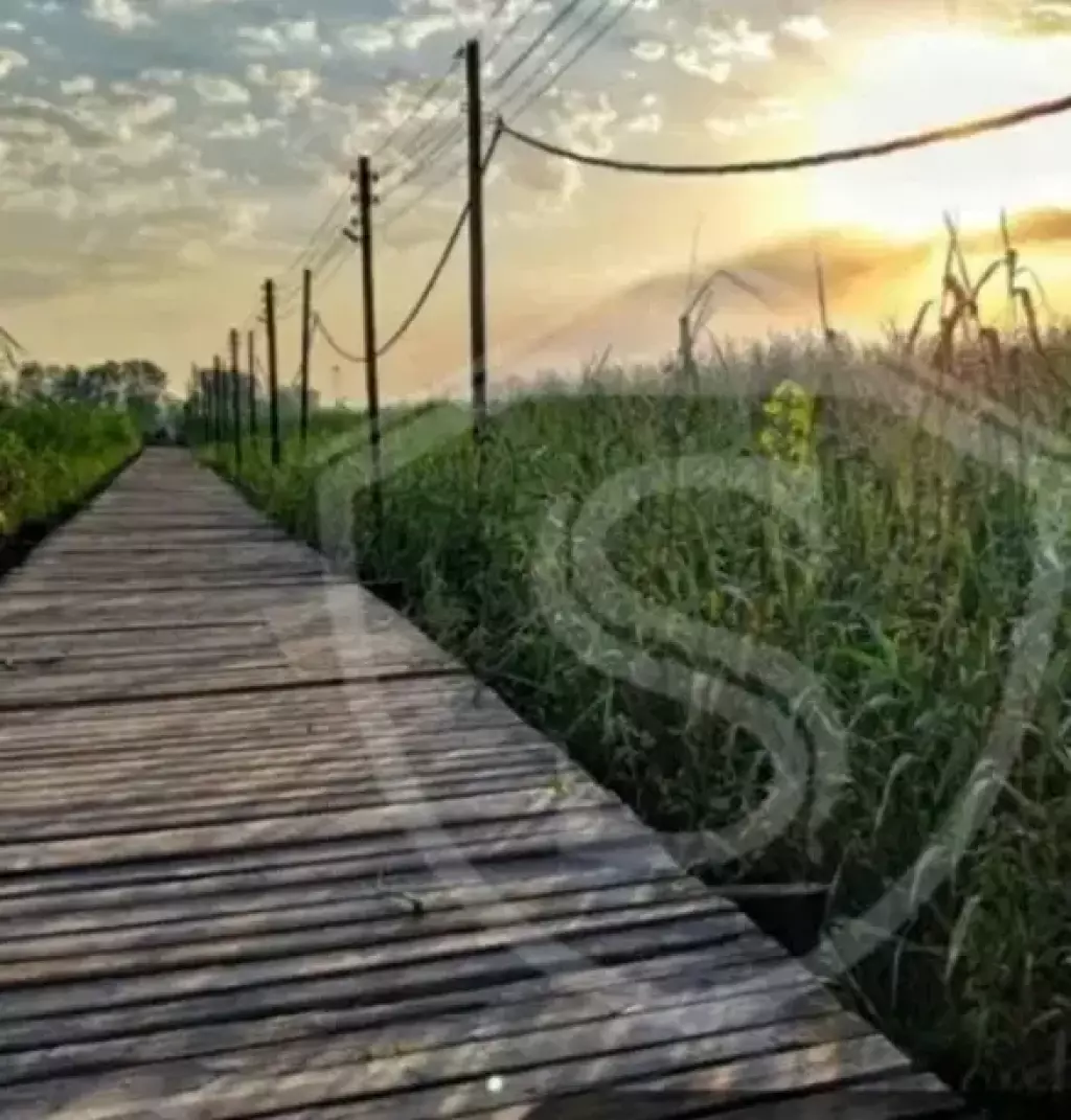 فروش زمین و کلنگی 250 متری در سلیمانی