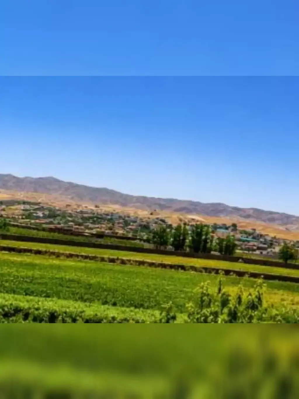 فروش خانه و ویلا 520 متری در تهرانپارس غربی - تصویر 6