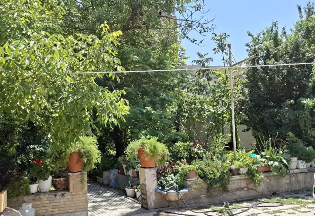 فروش خانه و ویلا 900 متری در ونک - تصویر 2