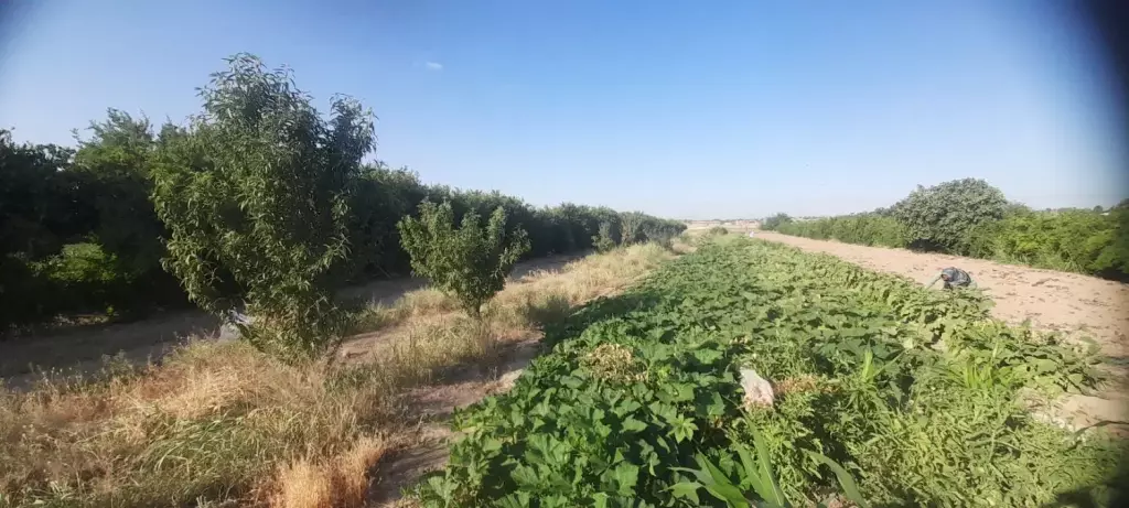 فروش اداری و تجاری 2800 متری در شارق - تصویر 9