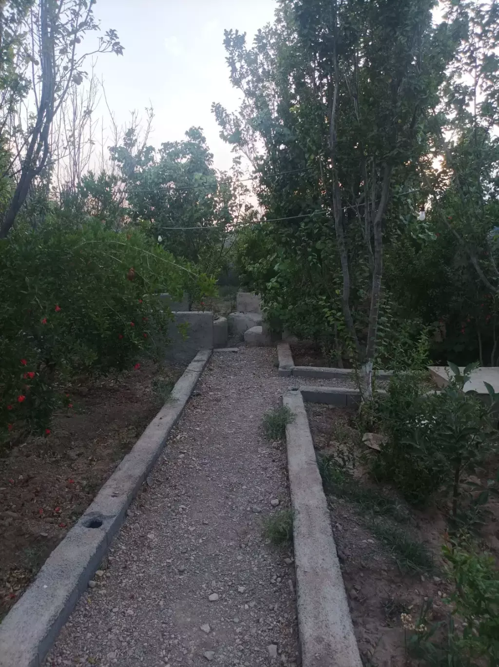 فروش خانه و ویلا 2000 متری در ترمینال غرب - تصویر 19