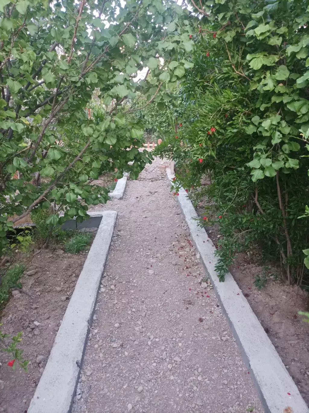 فروش خانه و ویلا 2000 متری در ترمینال غرب - تصویر 10