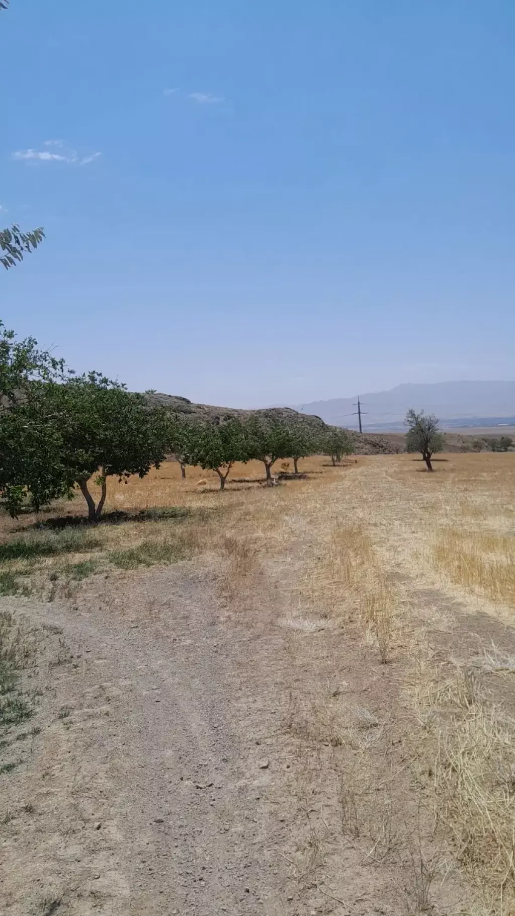 فروش زمین و کلنگی 10000 متری در نعمت‌آباد - تصویر 4