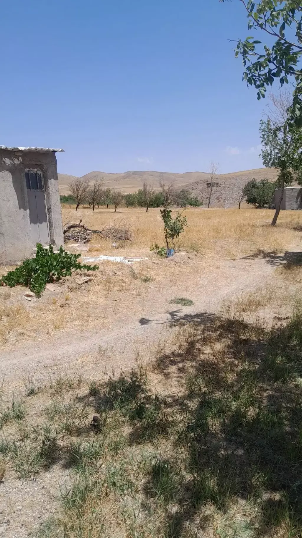 فروش زمین و کلنگی 10000 متری در نعمتآباد