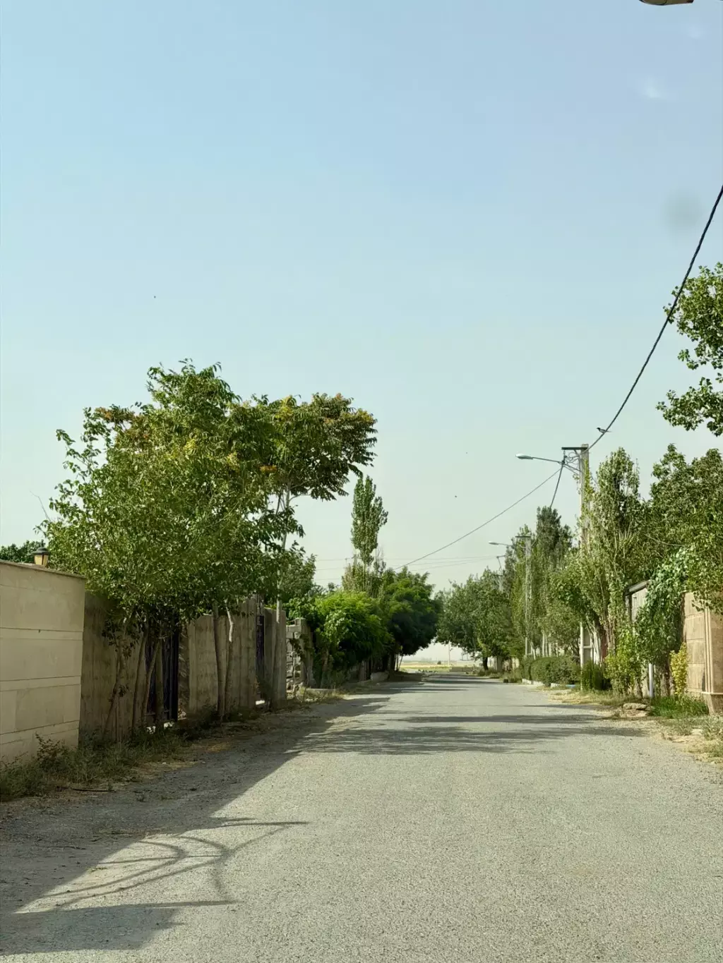 فروش خانه و ویلا 232 متری در باغ فیض - تصویر 10