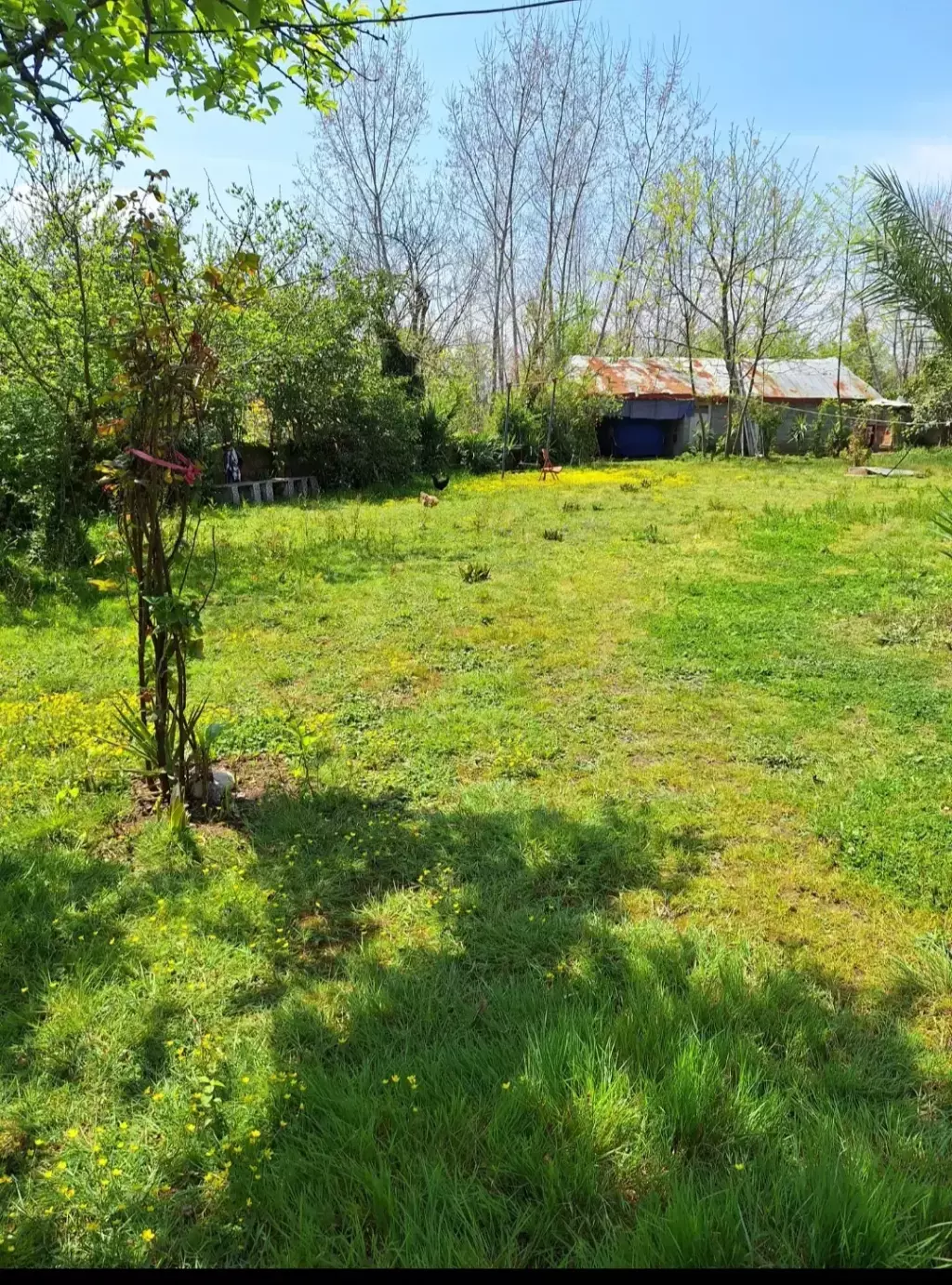 فروش خانه و ویلا 1000 متری در قیطریه - تصویر 9