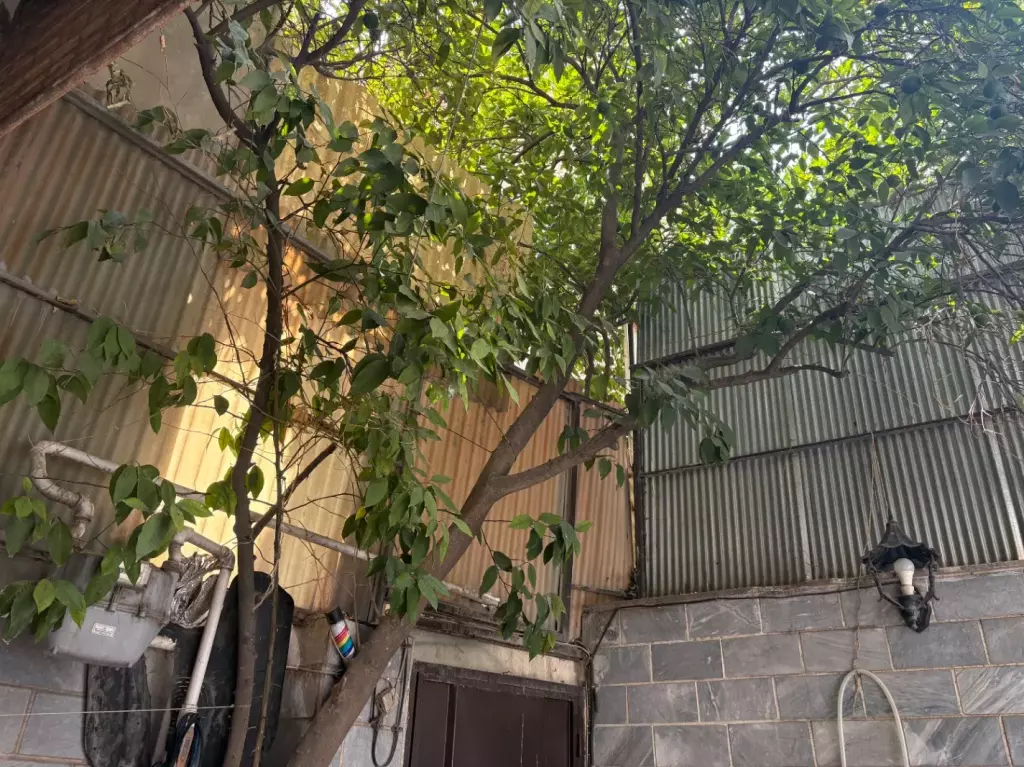فروش خانه و ویلا 51 متری در طیب - تصویر 14
