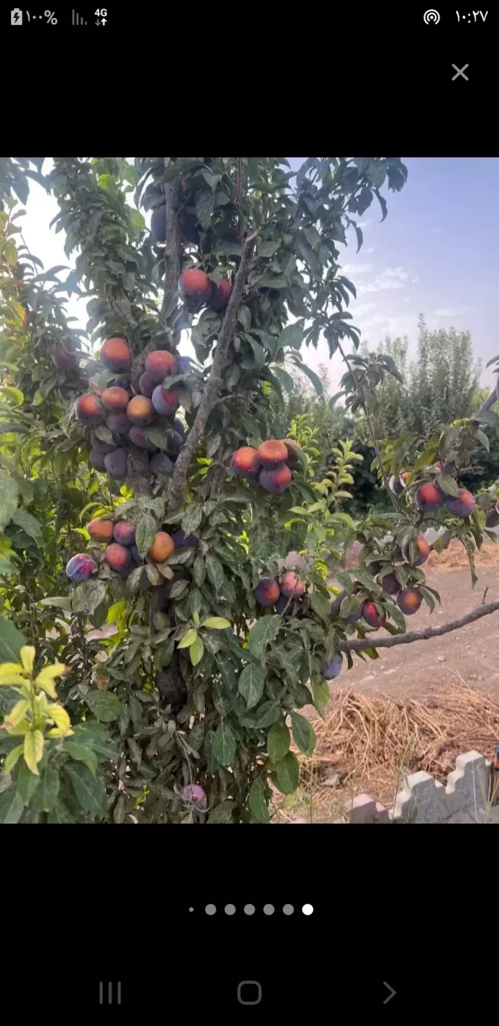 فروش خانه و ویلا 1000 متری در اقدسیه (شهرری)