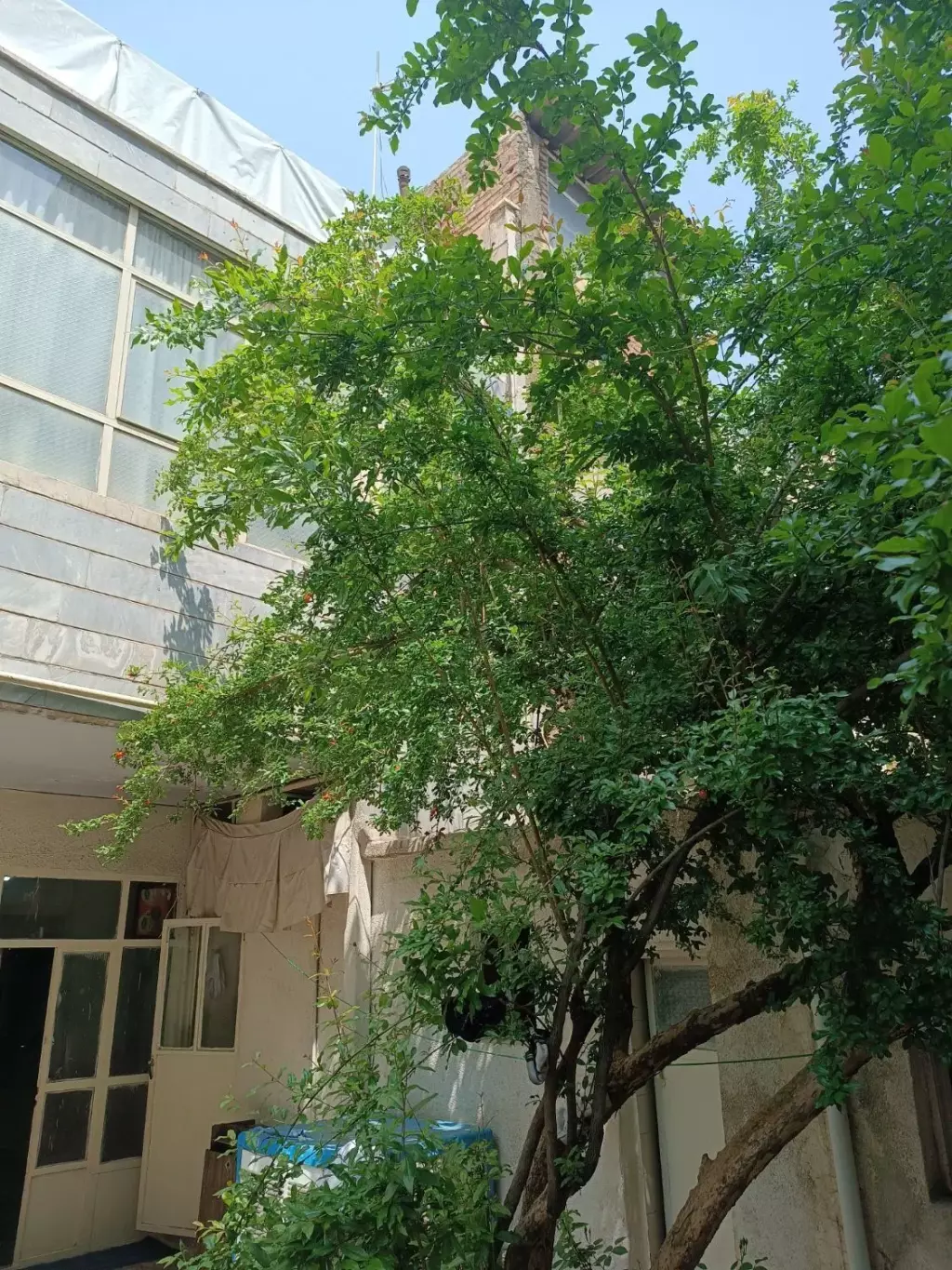 فروش خانه و ویلا 96 متری در جلیلی - تصویر 3