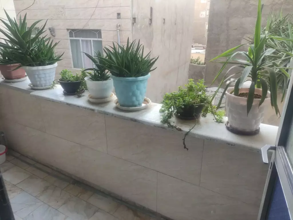 اجاره آپارتمان 65 متری در یافت آباد جنوبی