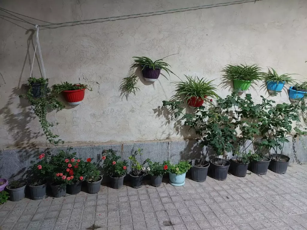 فروش خانه و ویلا 119 متری در تقی آباد - تصویر 3