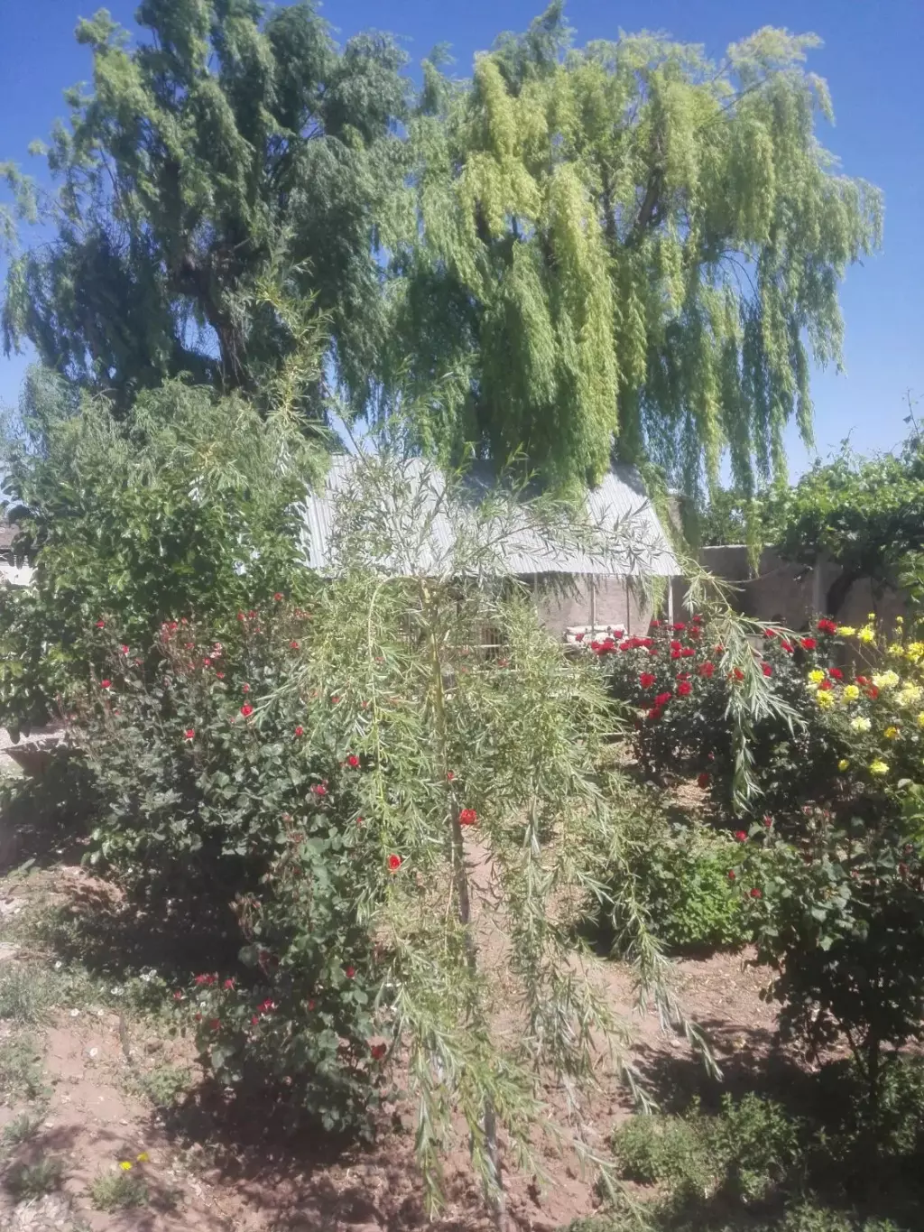 فروش اداری و تجاری 4000 متری در بوستان چیتگر - تصویر 2