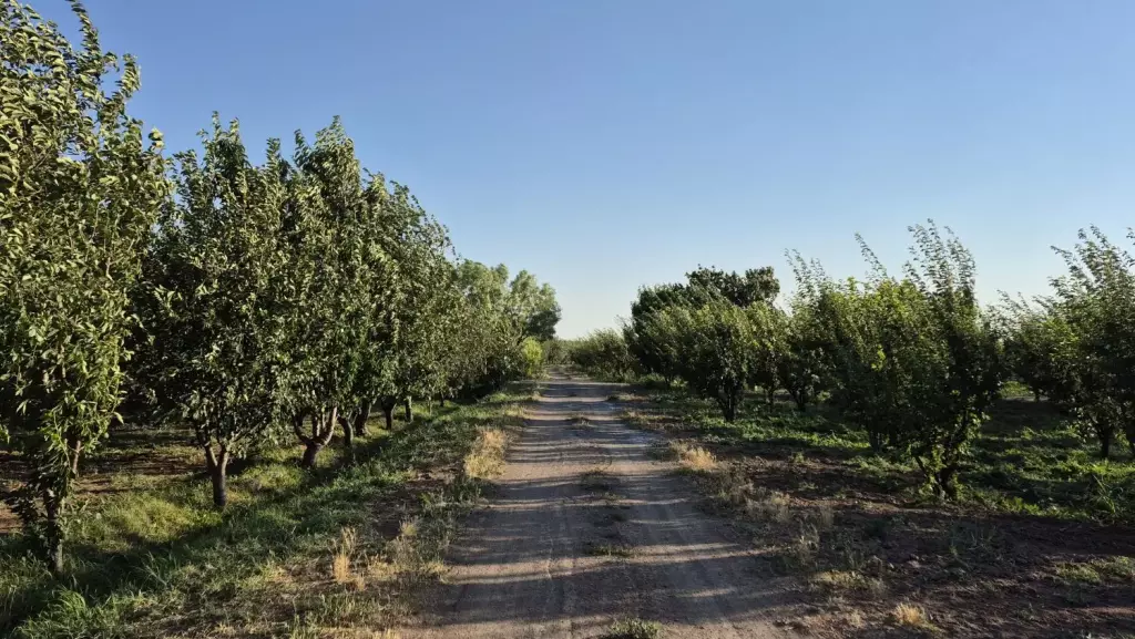 فروش اداری و تجاری 4000 متری در بوستان چیتگر - تصویر 10