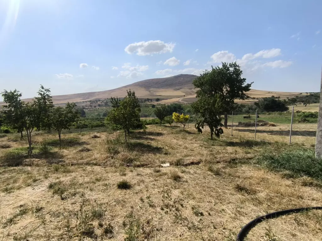 فروش اداری و تجاری 5000 متری در مهرآباد جنوبی - تصویر 5