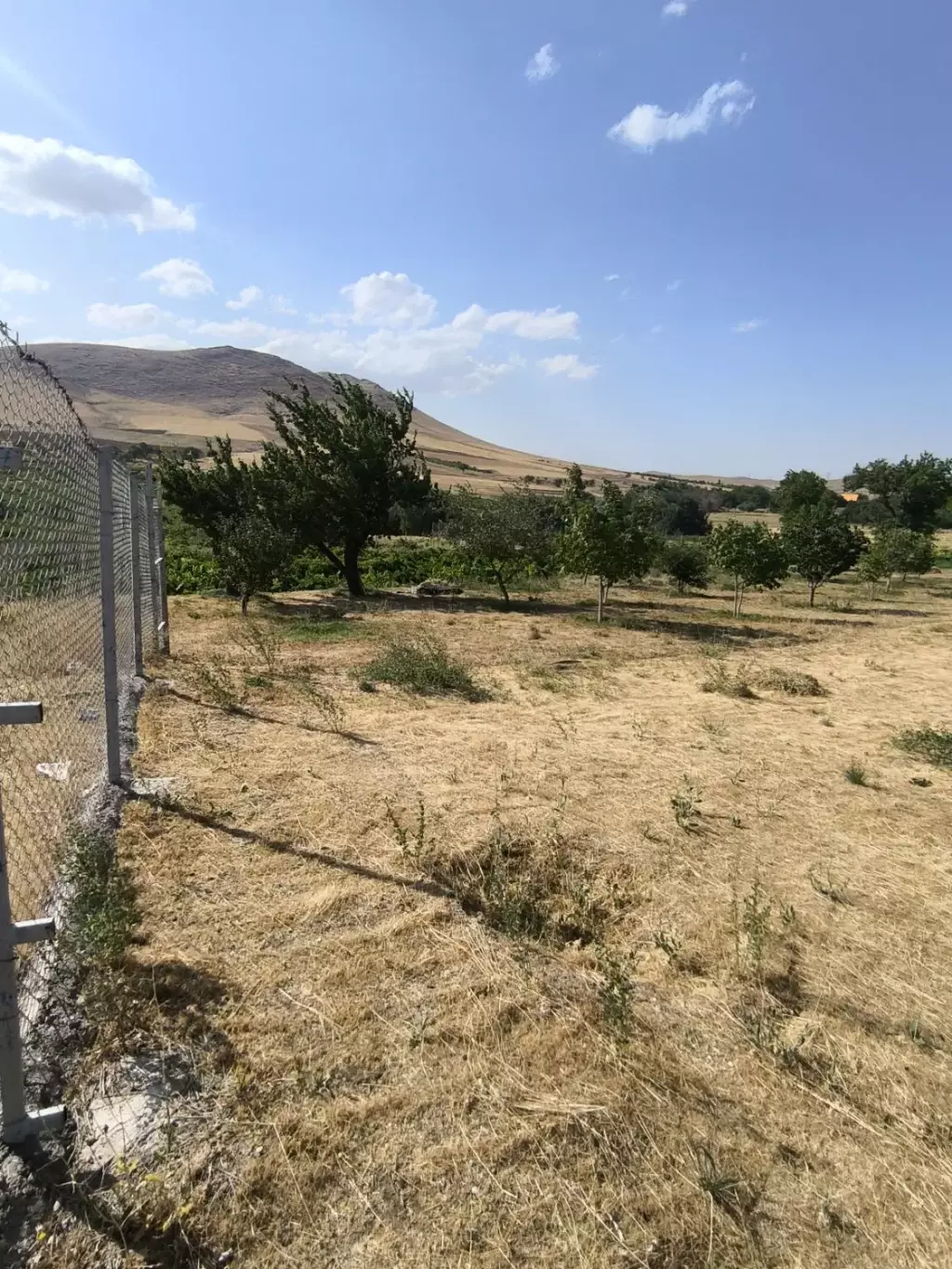 فروش اداری و تجاری 5000 متری در مهرآباد جنوبی - تصویر 6