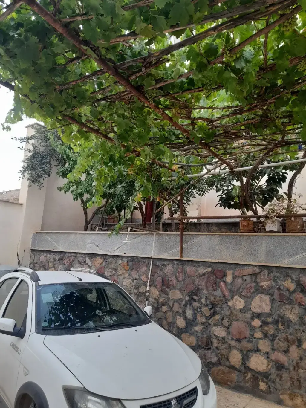 فروش خانه و ویلا 450 متری در هروی - تصویر 7