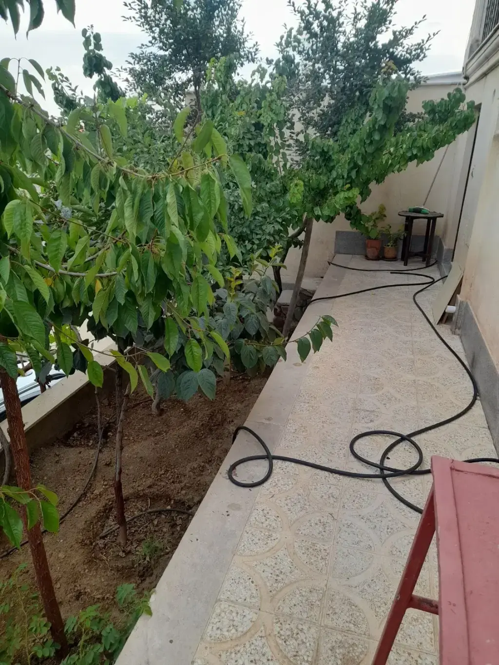فروش خانه و ویلا 450 متری در هروی - تصویر 10