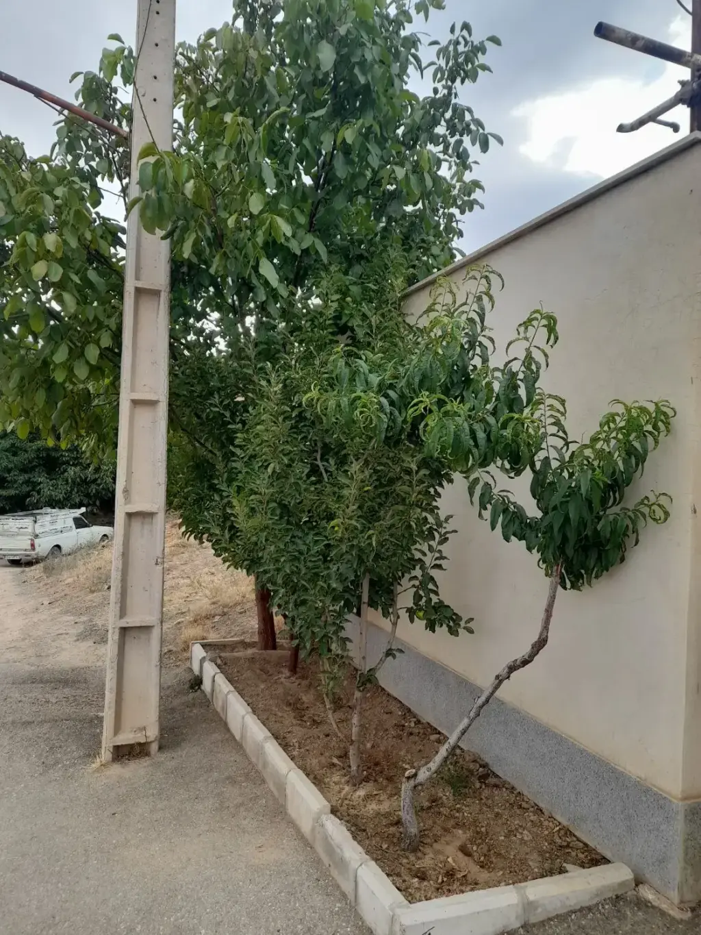فروش خانه و ویلا 450 متری در هروی - تصویر 2