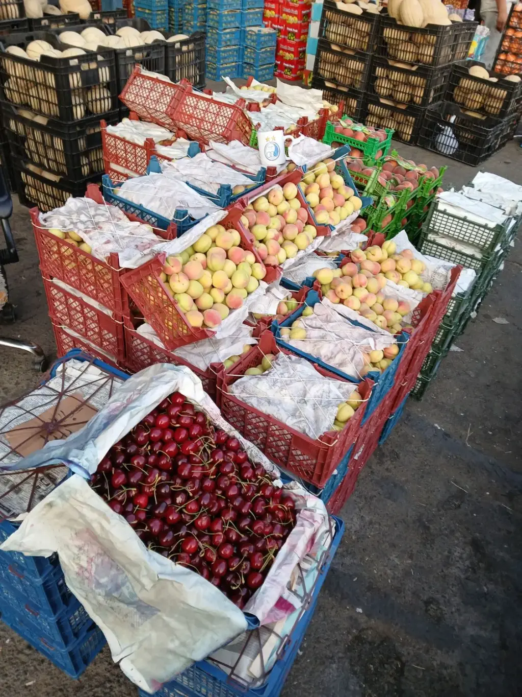 اجاره اداری و تجاری 60 متری در میدان میوه و ترهبار مرکزی