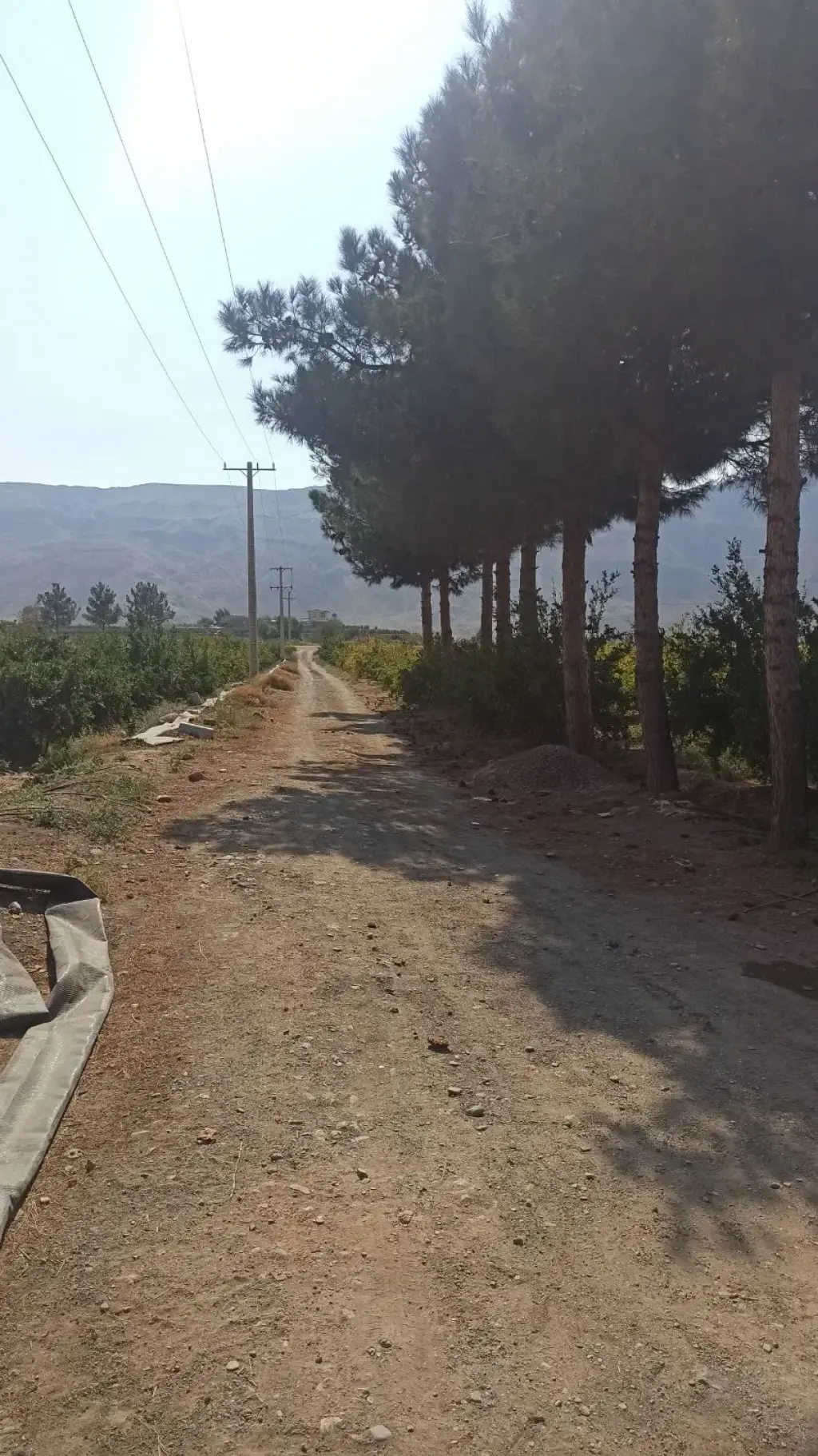 فروش اداری و تجاری 1000 متری در فلسطین (میدان انقلاب)