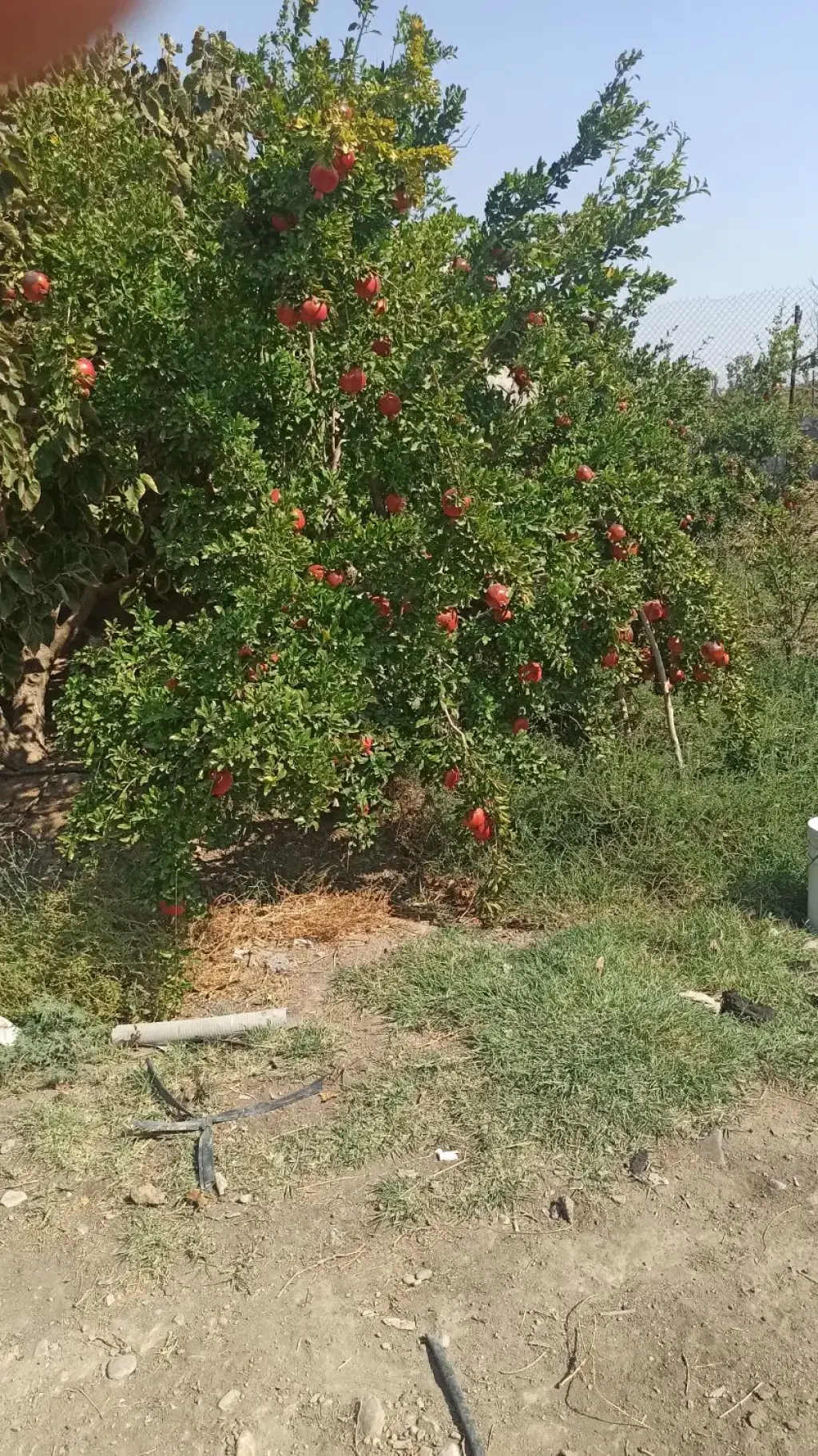 فروش اداری و تجاری 1000 متری در فلسطین (میدان انقلاب) - تصویر 2