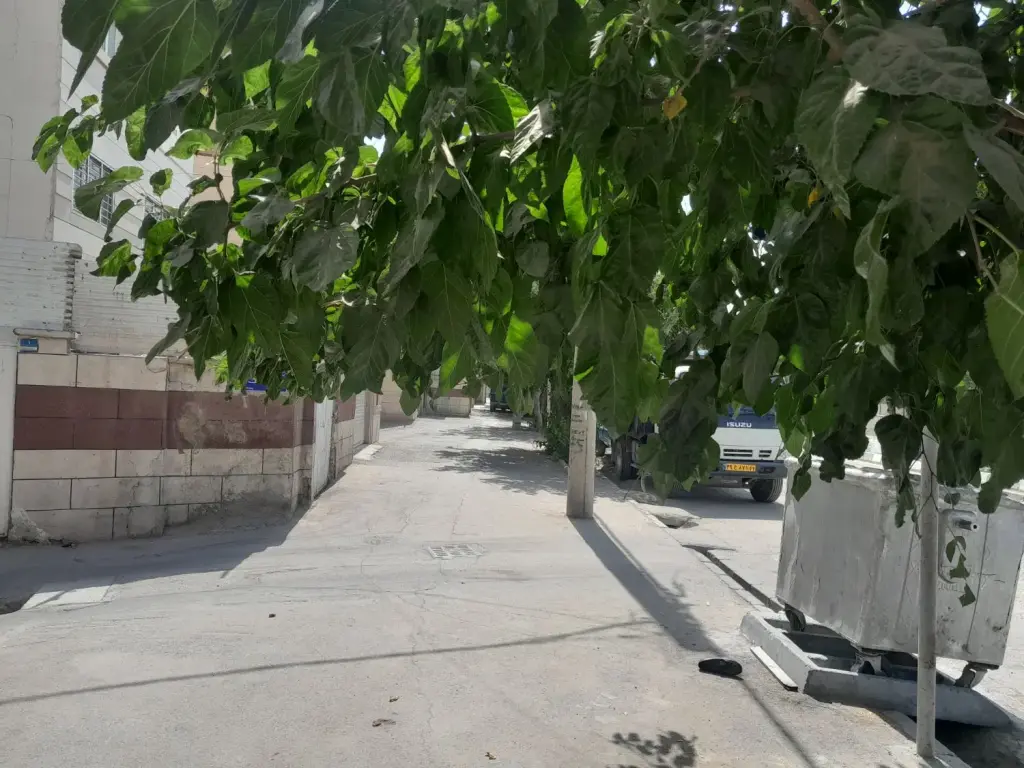 فروش زمین و کلنگی 133 متری در دستغیب - تصویر 3