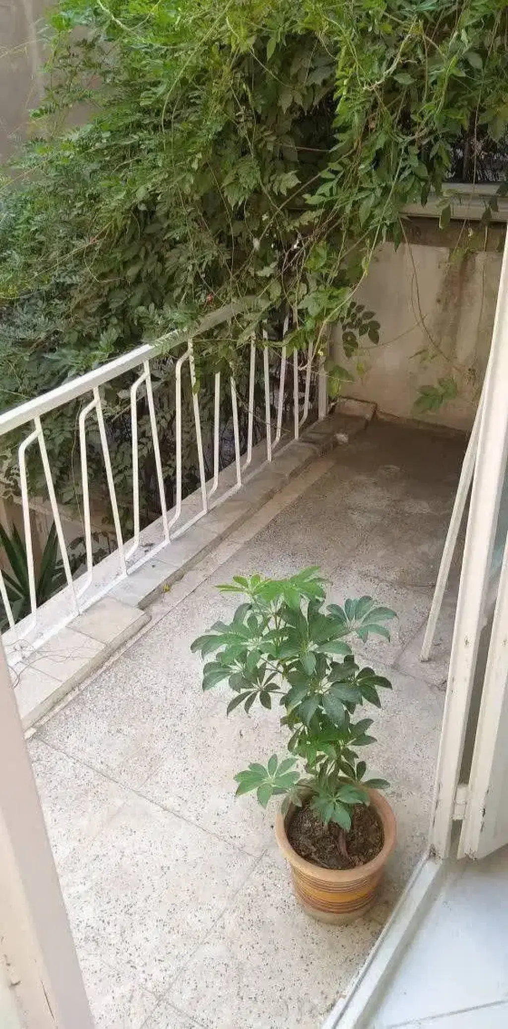 اجاره خانه و ویلا 87 متری در خواجه نظام الملک