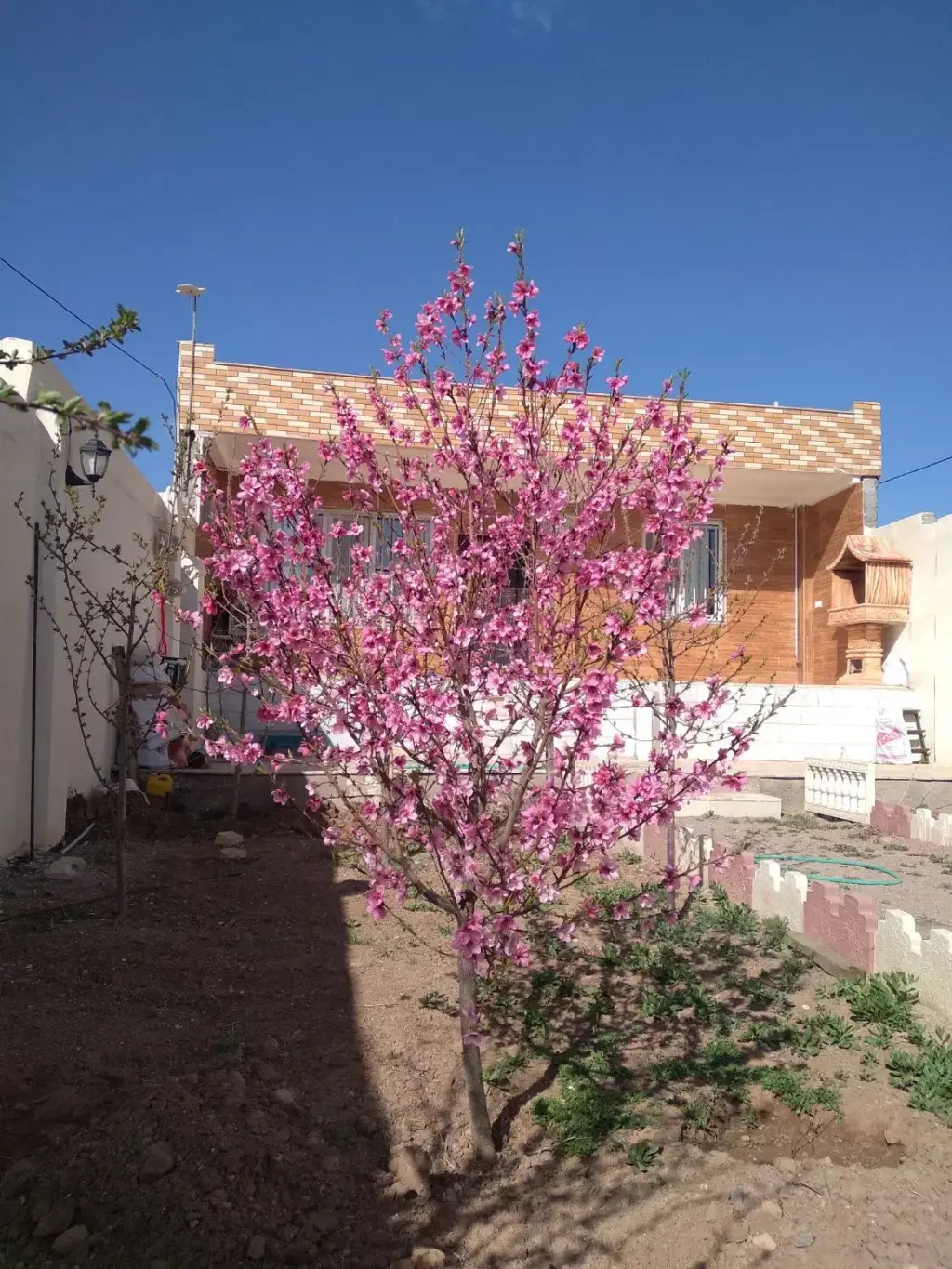 فروش خانه و ویلا 295 متری در پارک شهر - تصویر 11