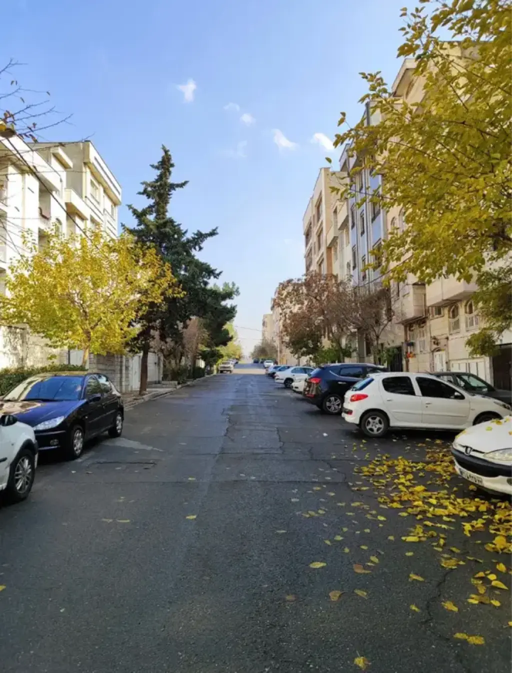 فروش آپارتمان 66 متری در مجیدآباد - تصویر 14