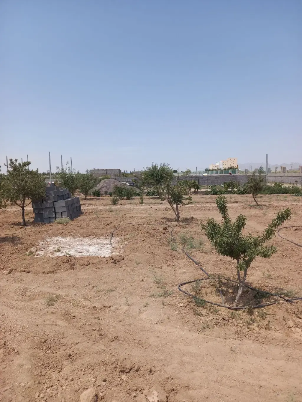 فروش اداری و تجاری 1500 متری در بریانک - تصویر 15