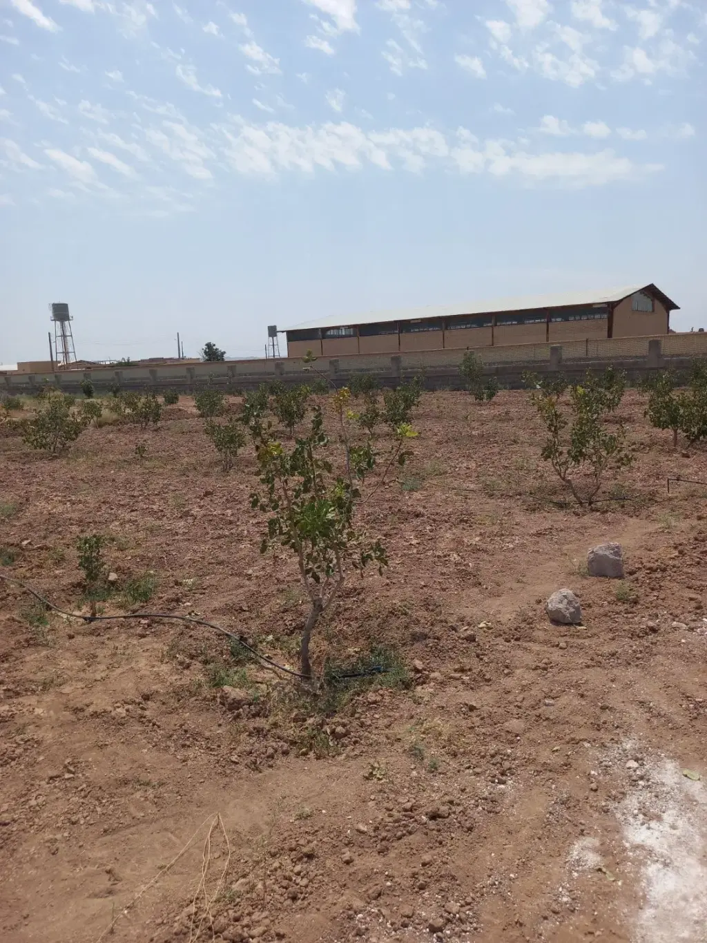 فروش اداری و تجاری 1500 متری در بریانک - تصویر 7