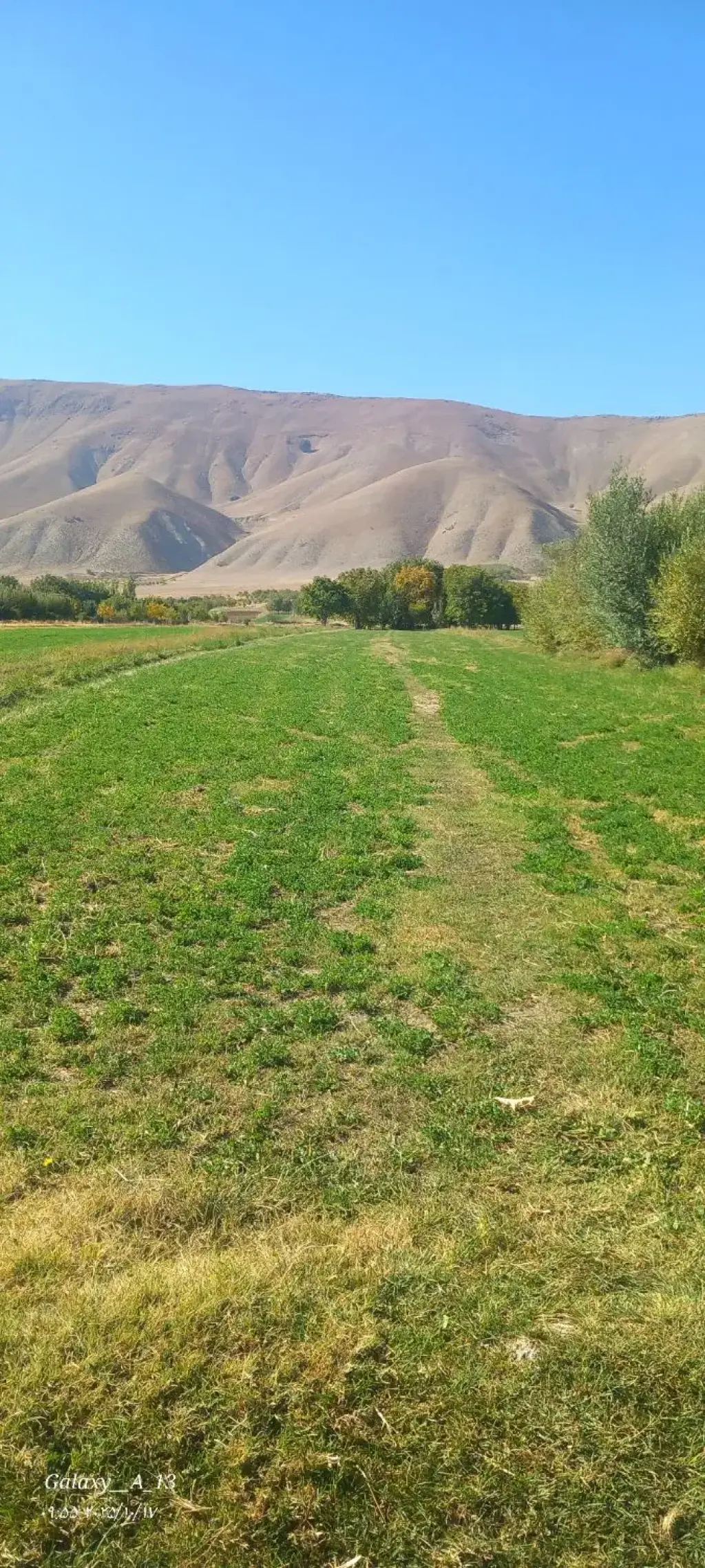 فروش زمین و کلنگی 2000 متری در فرودگاه مهرآباد - تصویر 2