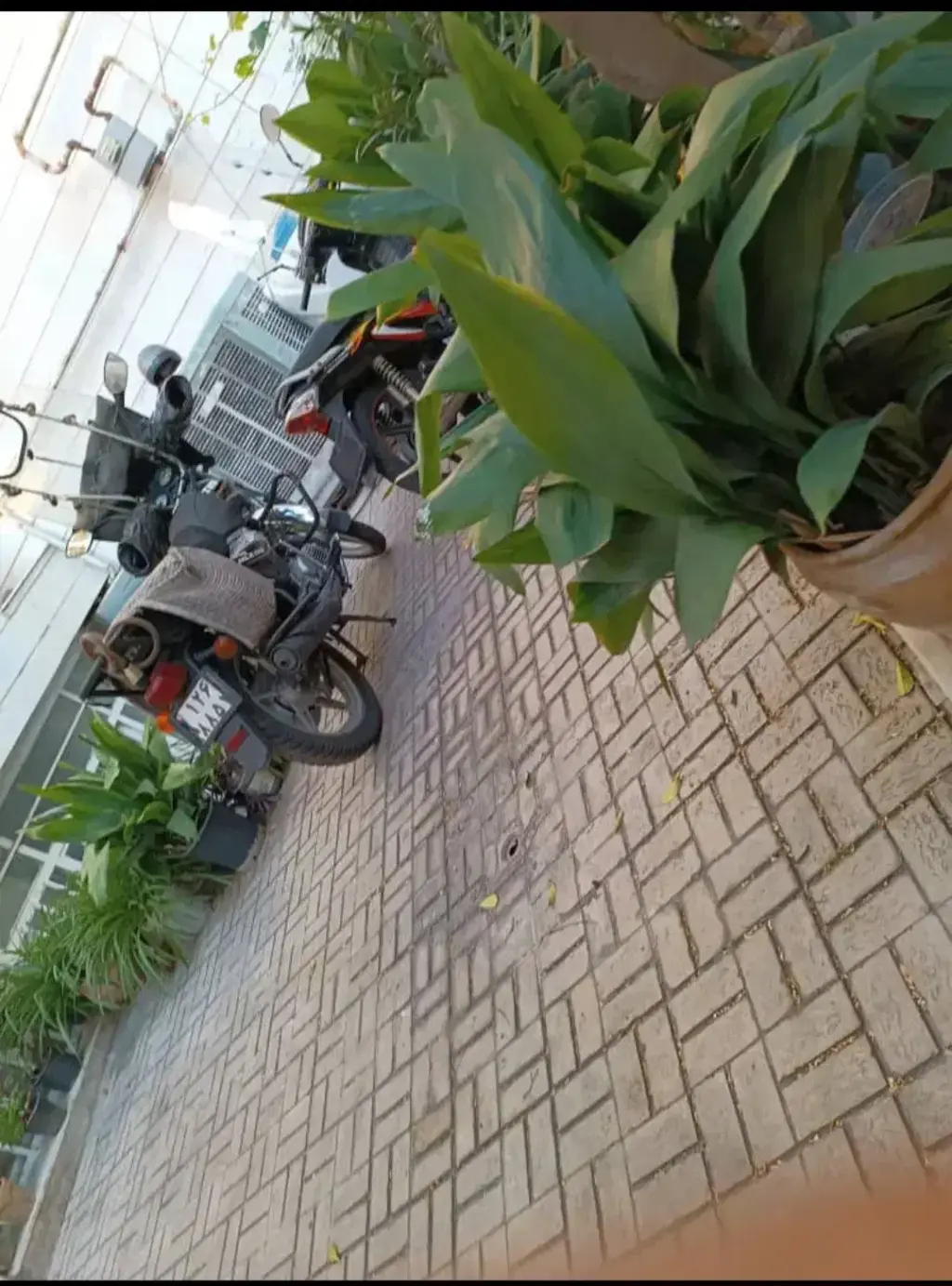 اجاره آپارتمان 63 متری در شکوفه - تصویر 5