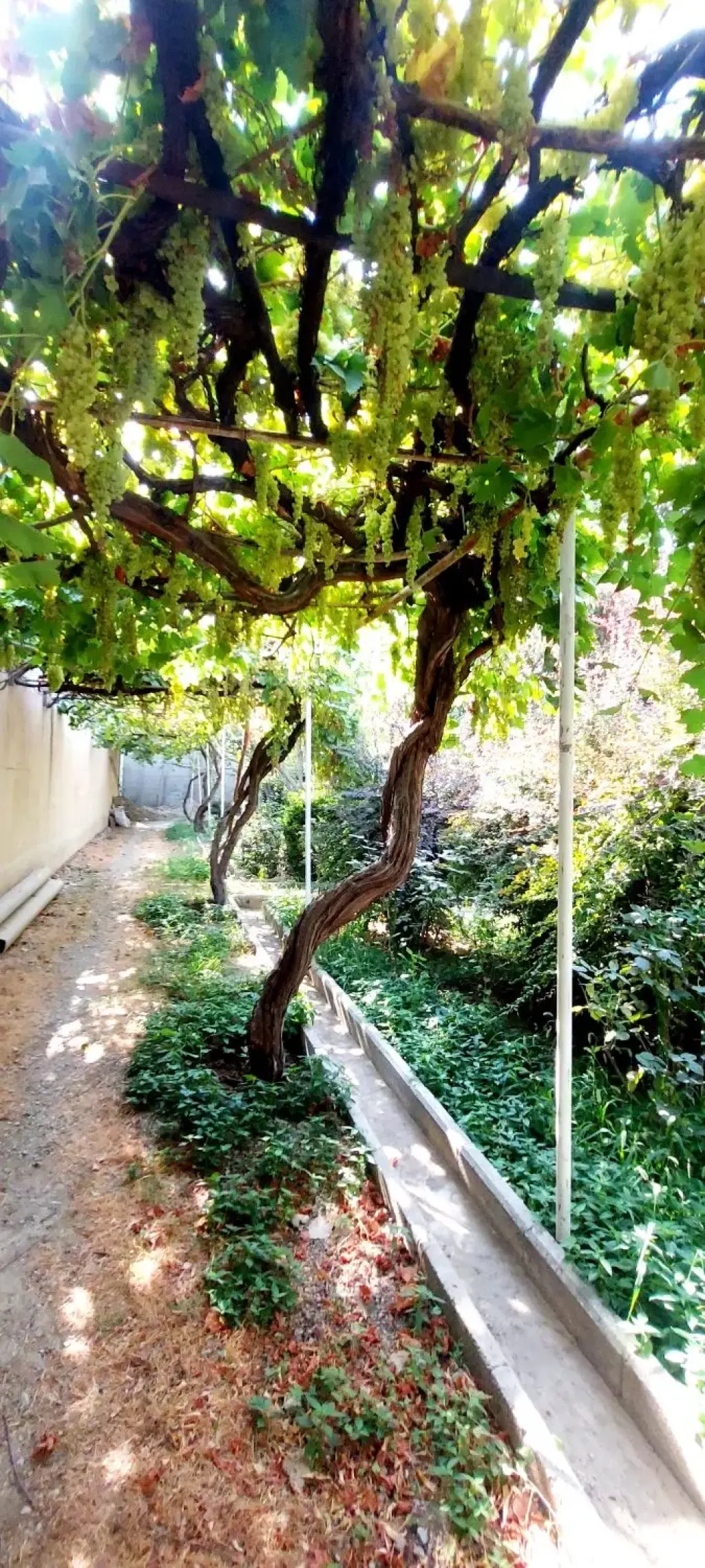 فروش خانه و ویلا 2100 متری در ولنجک - تصویر 8